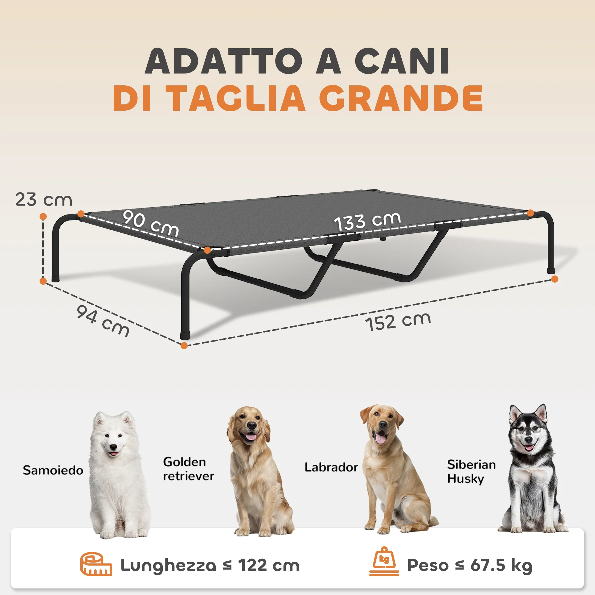 Immagine prodotto 3